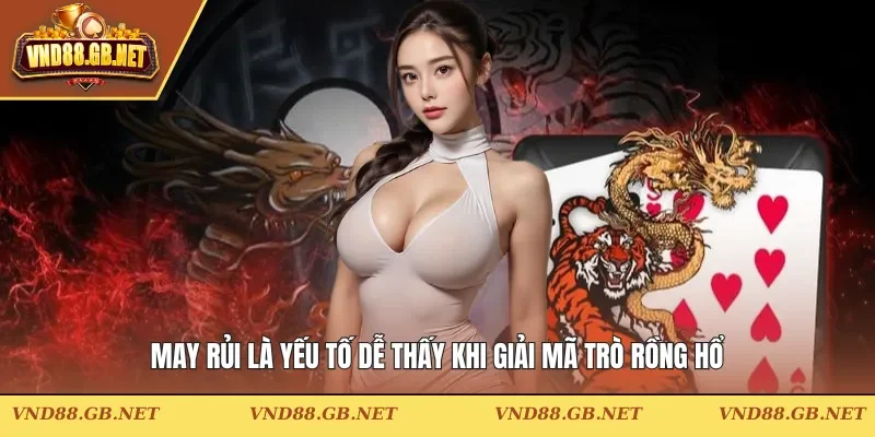 May rủi là yếu tố dễ thấy khi giải mã trò Rồng Hổ